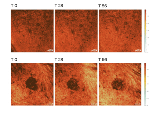 PHOTOCORRECTION [D-PIGMENT 50+]